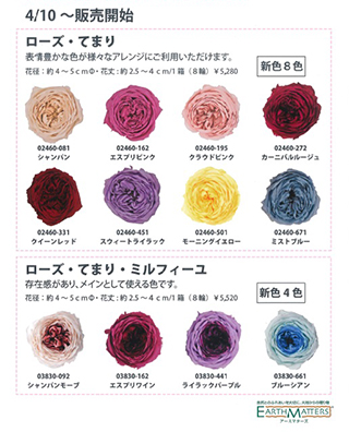 てまり新色先行入荷！